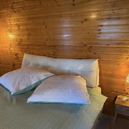 Le Hubertus - Climatise - 80 M2 * Rohrbach-les-Bitche